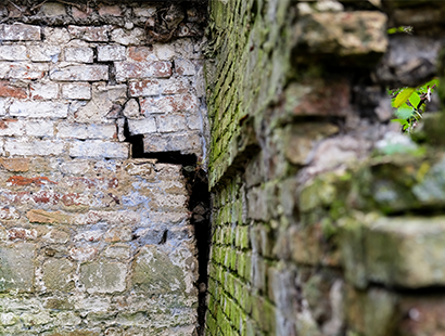 Defect Diagnosis or Building Surveys Or Condition Surveys